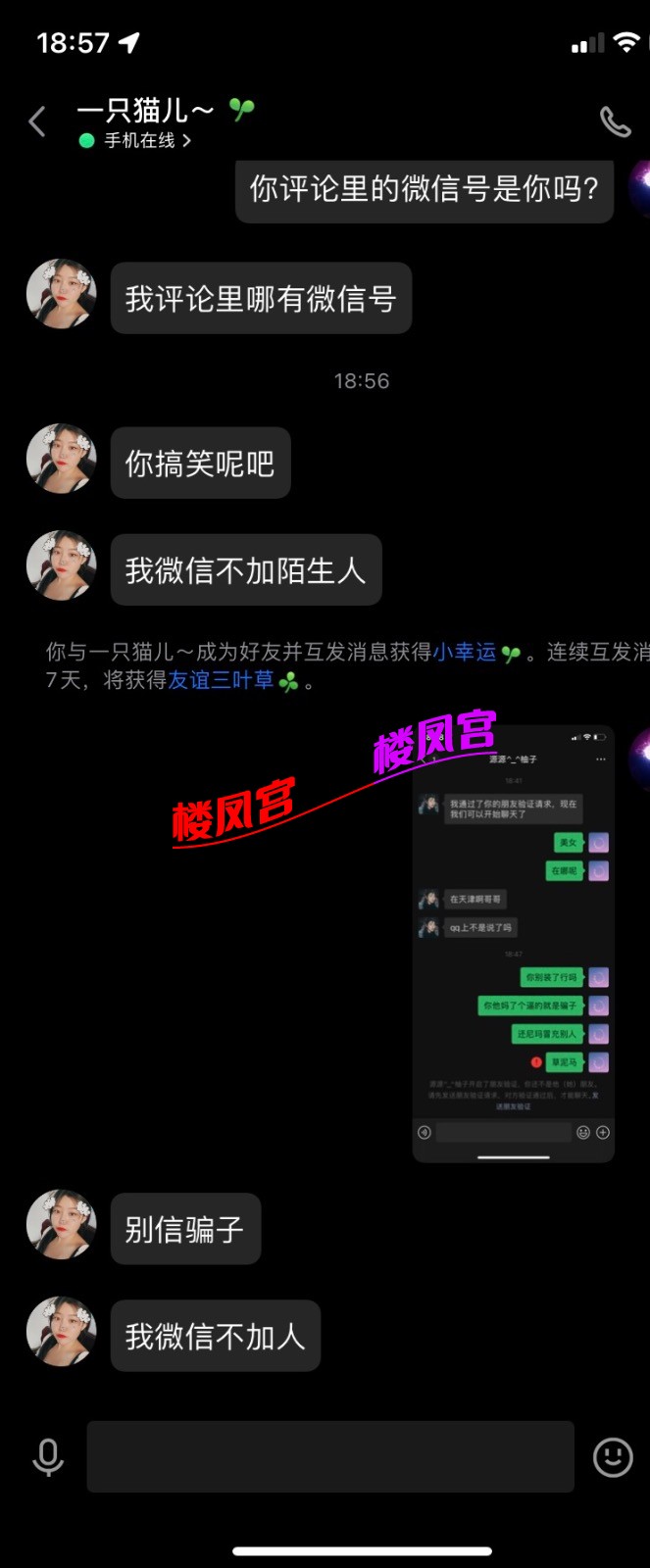 820D3B5F-F443-425F-9D4B-6EBE6FD6E550.jpeg