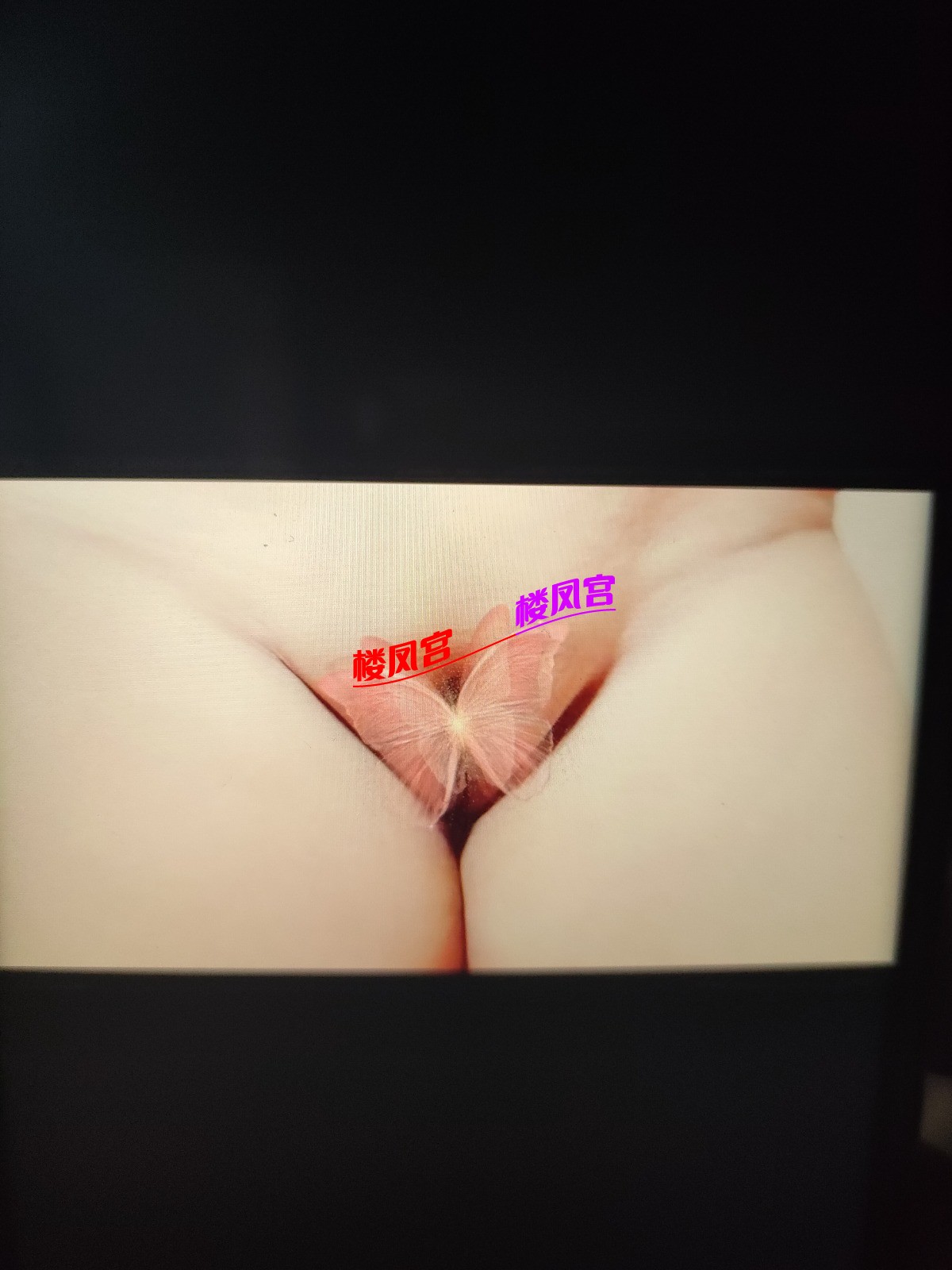 1740241024876.jpg