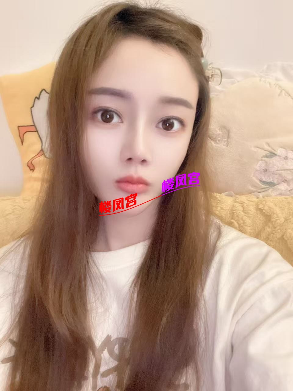 mmexport1739774344972.jpg