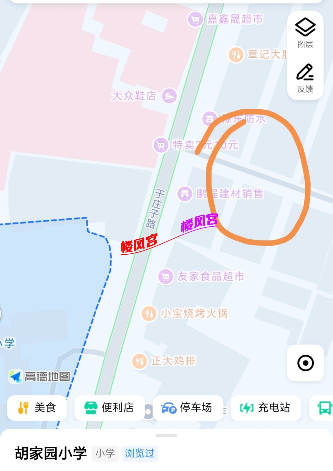 1000031205.jpg